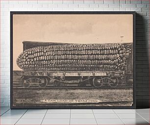 Πίνακας, A Car Load of Texas Corn