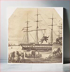 Πίνακας, A Cargo of Seventy Elephants Landing from Burmah during the 1857 Mutiny by Unknown