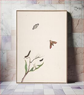Πίνακας, A Caterpillar and Two Moths on a Branch and Two Butterflies