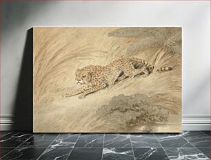 Πίνακας, A Cheetah Crouching by a Pool