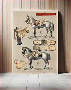 Πίνακας, A chromolithograph of horses with antique horseback riding equipments from an antique horseback riding catalog (1890)