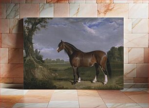 Πίνακας, A Clydesdale Stallion