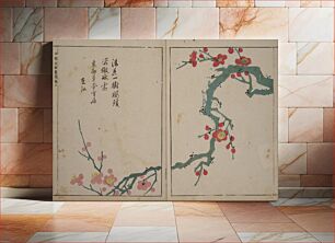 Πίνακας, A Collection of Lively Sketches Of Flowers and Insects of the Ming dynasty