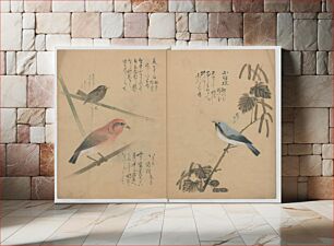 Πίνακας, A Compendium of Small Birds