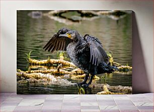 Πίνακας, A Cormorant Drying Its Wings Ένας κορμοράνος που στεγνώνει τα φτερά του