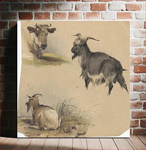 Πίνακας, A cow and Two Goats