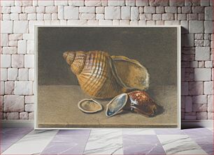 Πίνακας, A Cowrie, and a Larger and Two Smaller Shells