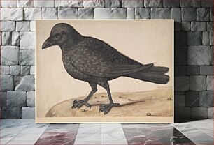 Πίνακας, A Crow