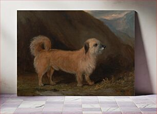 Πίνακας, A Dandie Dinmont Terrier