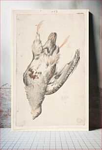 Πίνακας, A Dead Bird (Quail?) Seen from Below