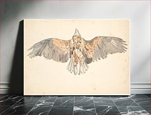 Πίνακας, A dead buzzard with outstretched wings by P. C. Skovgaard