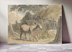 Πίνακας, A Donkey and Foal