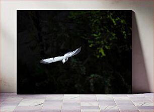 Πίνακας, A Dove in Flight Ένα περιστέρι σε πτήση
