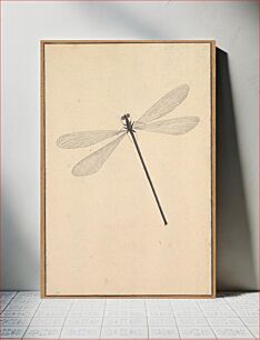 Πίνακας, A Dragonfly