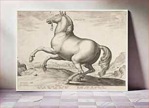 Πίνακας, A French Horse, from the first set of "Equile Joannis Austriaci", Jan Van Der Straet