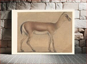 Πίνακας, A Gazelle in Profile, Moving Toward the Right