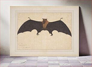 Πίνακας, A Great Indian Fruit Bat or Flying Fox (Pteropus giganteus)