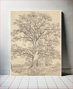 Πίνακας, A Great Oak Tree (c. 1801) by John Constable