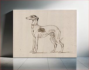 Πίνακας, A Greyhound, Facing Left