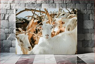 Πίνακας, A Group of Goats Μια ομάδα κατσικιών