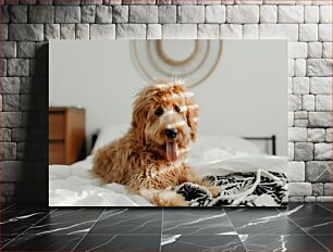 Πίνακας, A Happy Dog Relaxing on a Bed Ένα χαρούμενο σκυλί που χαλαρώνει σε ένα κρεβάτι