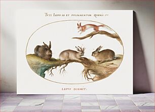 Πίνακας, A Hare, "Jackalope," a Rabbit, and a Spotted Squirrel (1575–1580) by Joris Hoefnagel