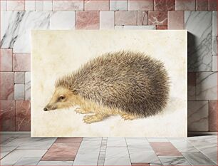 Πίνακας, A Hedgehog (Erinaceus roumanicus) (1584), vintage animal illustration by Hans Hoffmann