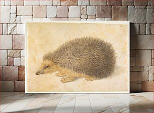 Πίνακας, A Hedgehog (Erinaceus roumanicus)