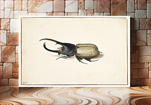 Πίνακας, A Hercules beetle (dynastes hercules) by Pieter Holsteijn
