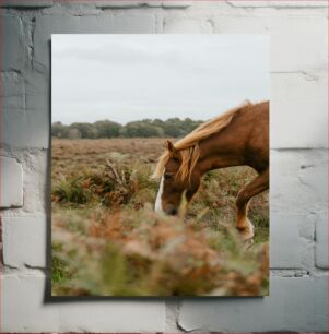 Πίνακας, A Horse in a Meadow Ένα άλογο σε ένα λιβάδι