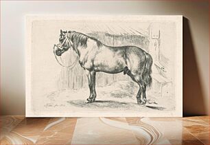 Πίνακας, A horse