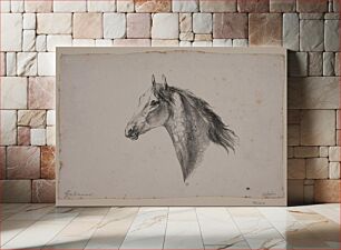 Πίνακας, A horse's head by Christian David Gebauer