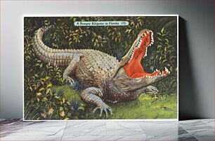 Πίνακας, A hungry alligator in Florida