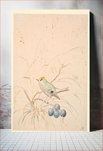 Πίνακας, A king bird on a meadow branch. by P. C. Skovgaard