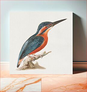 Πίνακας, A Kingfisher by Thomas Atwood