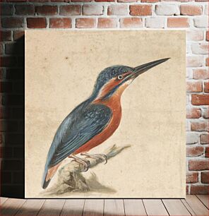 Πίνακας, A Kingfisher