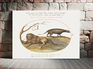 Πίνακας, A Lion and a Civet Cat (1575–1580) by Joris Hoefnagel