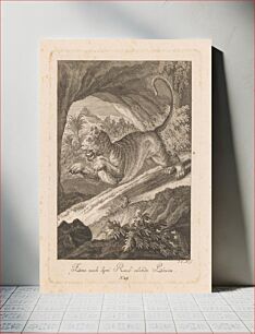 Πίνακας, A lioness jumping, Johann Elias Ridinger
