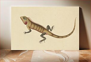 Πίνακας, A Lizard with Sketches of a Scorpion and a Spider