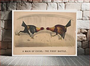 Πίνακας, A main of cocks,--the first battle