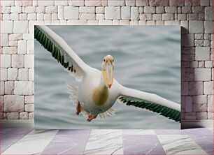 Πίνακας, A Majestic Pelican in Flight Ένας μεγαλοπρεπής πελεκάνος σε πτήση