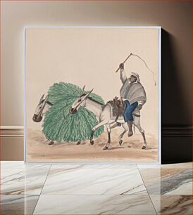 Πίνακας, A man riding a mule, his whip raised, another mule loaded with grass alongside, from a group of drawings depicting Peruvian dress