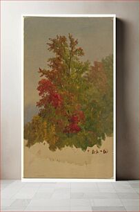 Πίνακας, A Maple Tree, Autumn by Frederic Edwin Church, American, 1826–1900