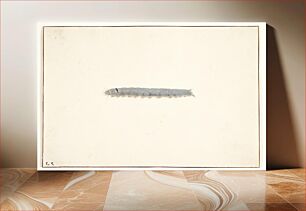 Πίνακας, A moth caterpillar by Pieter Holsteijn