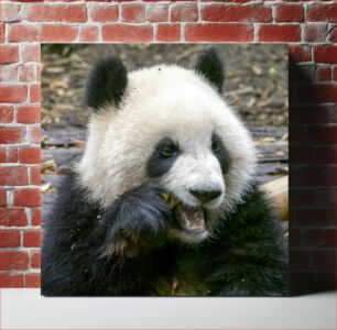 Πίνακας, A Panda Eating Bamboo Ένα Panda που τρώει μπαμπού