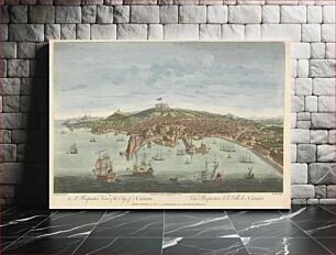 Πίνακας, A Perspective View of the City of Naples
