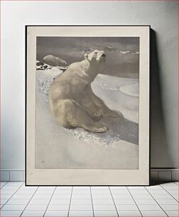 Πίνακας, [A polar bear seated on snow and another polar bear walking in background] / Carl Ederer