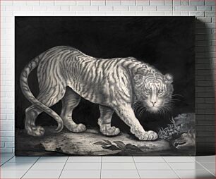 Πίνακας, A Prowling Tiger (1800) watercolor art by Elizabeth Pringle