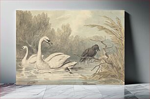 Πίνακας, A Raven and Two Swans