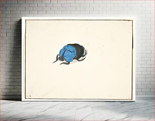 Πίνακας, A rhinoceros beetle (scarabaeidae) by Pieter Holsteijn